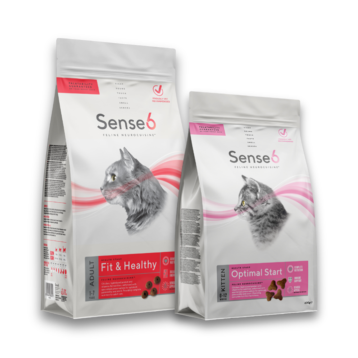 Sense 6 pair